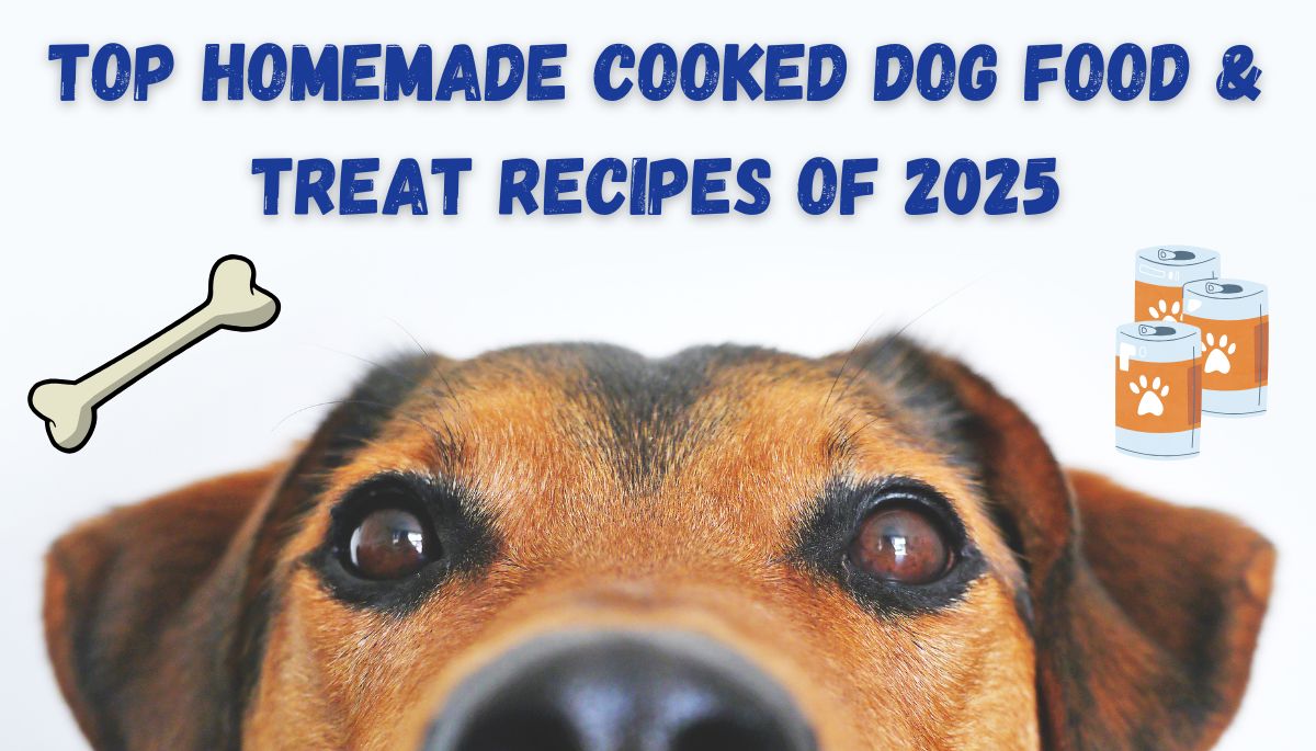 Top Homemade Cooked Dog Food & Treat Recipes of 2025 image source canva